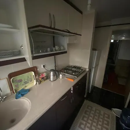 Seasunflat